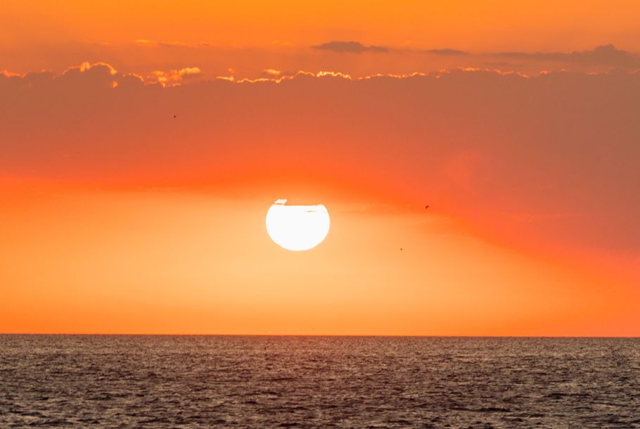 Sunset Boat Tour with Live Music & Drinks
